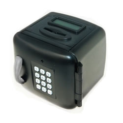 Electronic Mini Safe