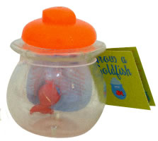 Grow Your Own Goldfish