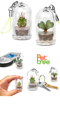 Pet Tree