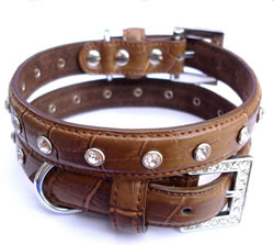 Puchi Choc Croc Dog Collar