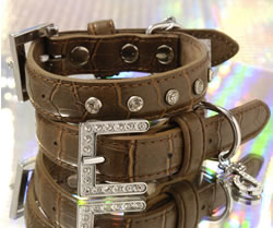 Puchi Choc Croc Dog Collar and Lead Set