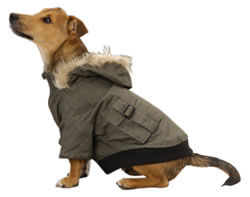 Puchi Military Coat