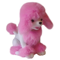 Nodding Poodle