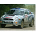 Rally Rush Experience