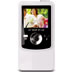 Wiki Digital Video Camera
